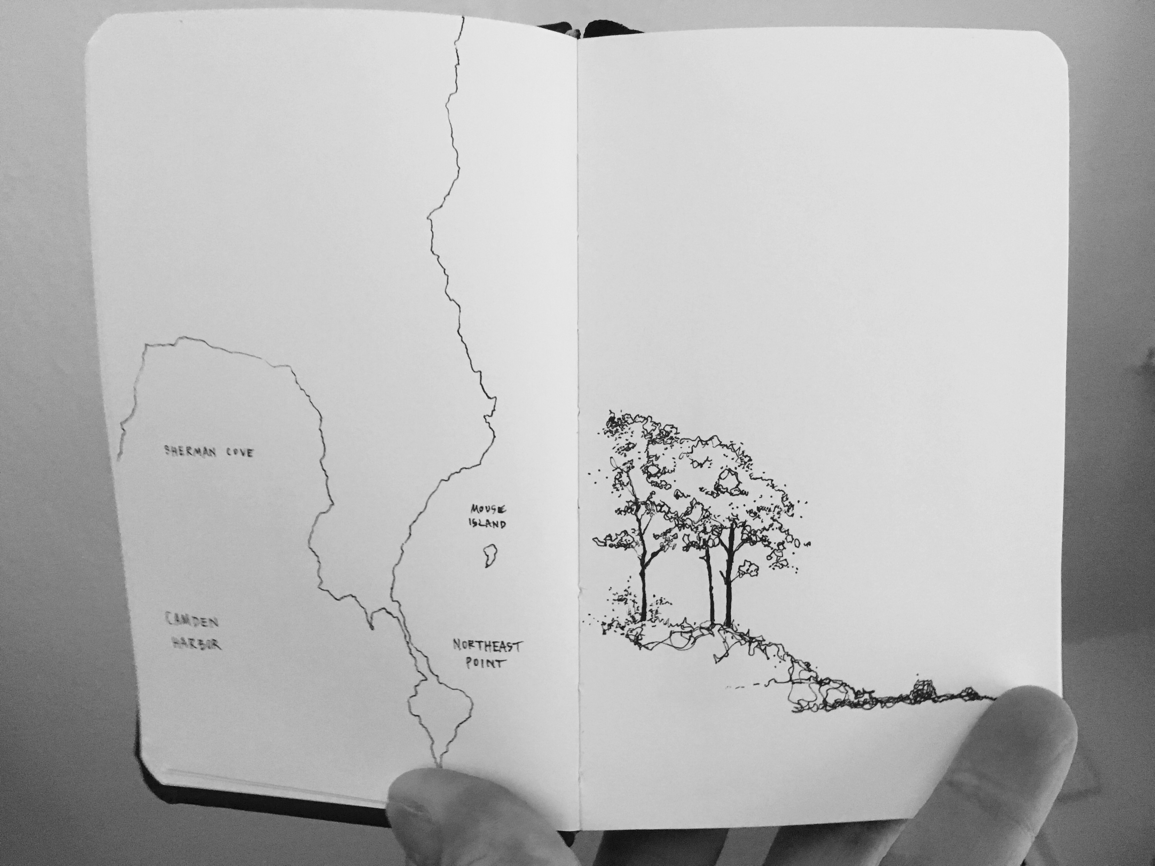 304E969D-AD19-4970-93A9-2F251E4D3E25