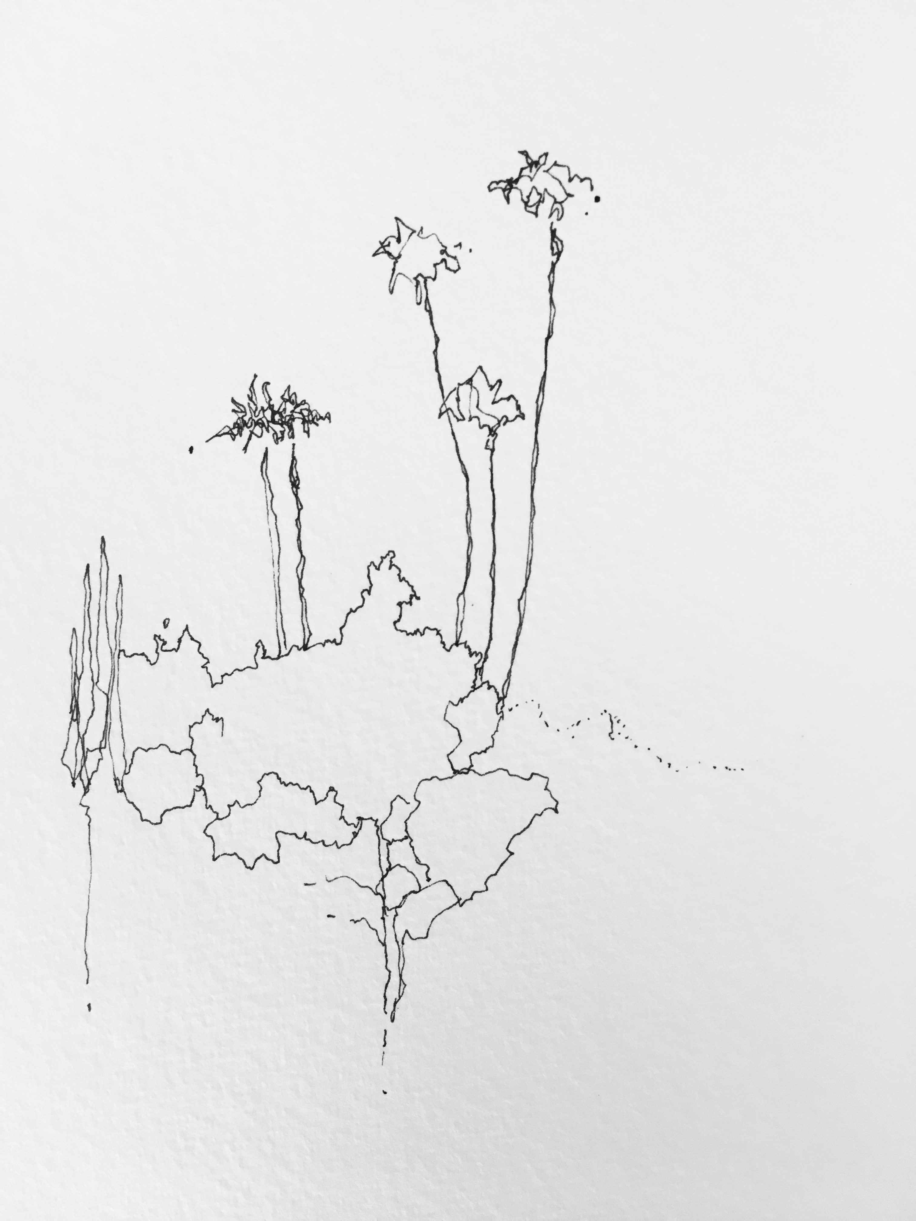 842F72FF-4514-4298-8E5A-6DBD04D9937F